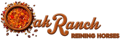 Oak Ranch Reining Horses